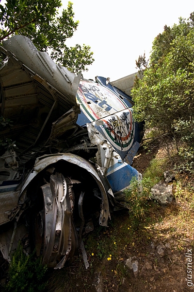 Timone di coda (40D_7280_1rid).jpg